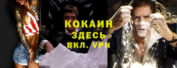 стафф Аркадак