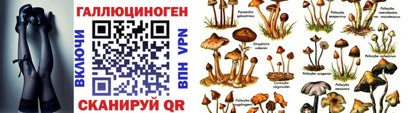 Галлюциногенные грибы мицелий  Козьмодемьянск 
